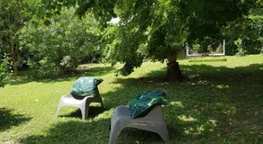 Au Bord De l'Alzon - Image 5