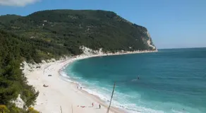 La Violetta - Image 4