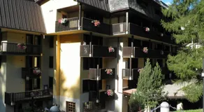 R.T.A. Hotel des Alpes 2 - Image 4