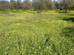 Casa Vacanze Bianco - Image 5
