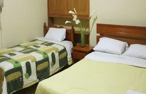 Hotel Grau Ica - Image 3