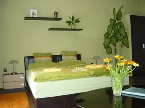 Alsolöver Apartman - Image 4