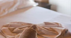 Apoi Inn! - Image 3