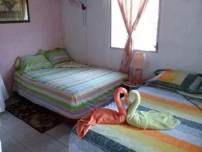 Hostal Cariguana - Image 2
