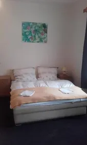 GUEST HOUSE NAD BEROUNKOU - Image 5