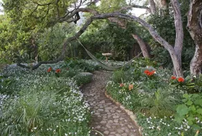 Cabana Las Floras - Image 5