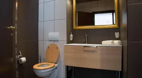 Prahova Valley Apartment - Image 4