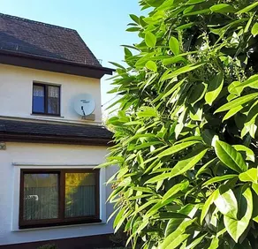 Ring Inn Nürburg - Image 4