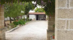 Villa Rossetti - Image 2