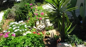 Petaloudes 2 - Image 5