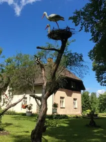 Viesu Namu Burtnieki - Image 2
