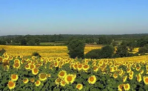 Chateau des Mautors - Image 2