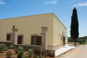 Lu Panaru - Image 3