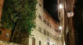 Interno 5-highest terrace of Siena - Image 2