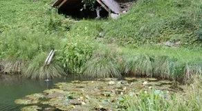Vitalhof Rohrer Ferienwohnungen - Image 3