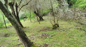 Villa Olivari - apt la Lavanda - Image 2