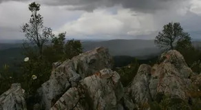 La Casa de Gaia - Image 4