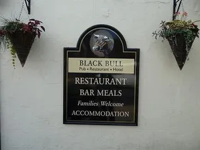 Black Bull - Image 2