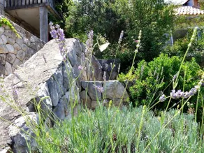 Guest House Busurelo - Image 5