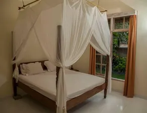 Rumah Frangipani - Image 4