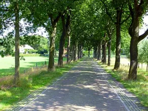 Bed en Breakfast De Langenlee - Image 3