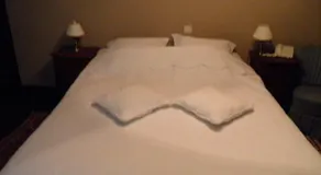 Hotel Le Vieux Logis - Image 3