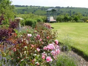 Holly Cottage B&B At White House Farm - Image 4