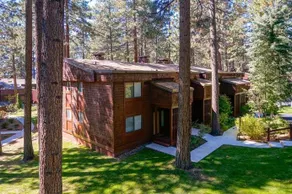 Pinewild 27 - Image 2