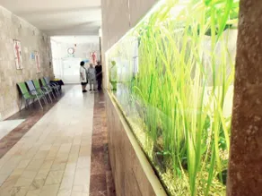 Sanatoriul Balnear si de Recuperare Mangalia - Image 2