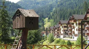 Helena 11 - Image 3