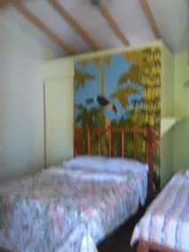 Cabinas Palmeras Lodge - Image 3