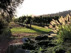 Forrest Hills Ridge - Image 3