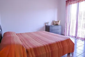 Ficus Pineto Vacanza - Image 3