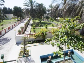 Green Oasis Hotel - Image 3