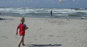 'T Zeepaardje West aan Zee - Image 5