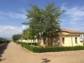 Agriturismo Colle Degli Ulivi - Image 2