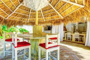 House Pina Colada - Image 2