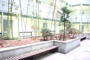 New Guest House - Image 5