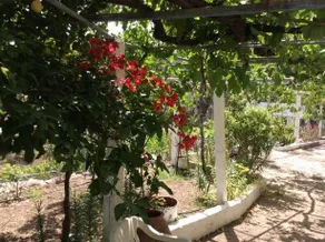 La Villa Di Zazopetra - Image 5