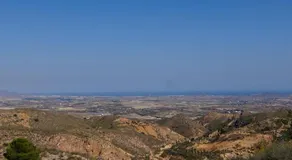 Villa El Pinar Bedar - Image 3