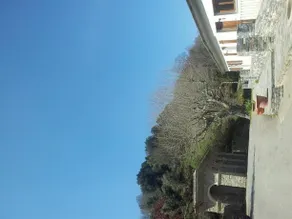 Gîte La Fontaine Corse - Image 5