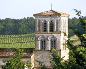 Au Coeur des Vignes - Image 5