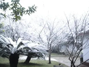 Qionglai Ruiyuan Homestay - Image 4