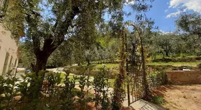 Agriturismo Fonteregia - Image 2