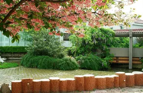 Royal Hotel - Image 4