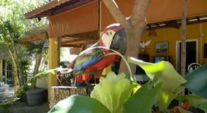Pousada Vale do Gigante - Image 2