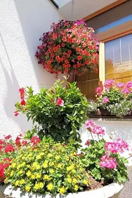 Pension Anni Winkler - Image 4