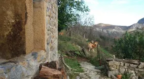 La Cabana De Pin - Image 3