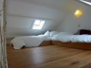 B&B Bloom - Image 2