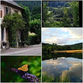 A L'etang D'yonne - Image 4
